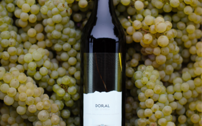 Portes ouvertes – 1er et 2 mai 2026 – Dégustations du millésime 2025