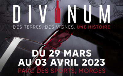 Divinum à Morges en 2024