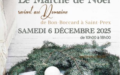 Marché de créateurs et de Noël – Y a quoi sous le sapin – Samedi 6 décembre 2025 de 10h00 à 18h00